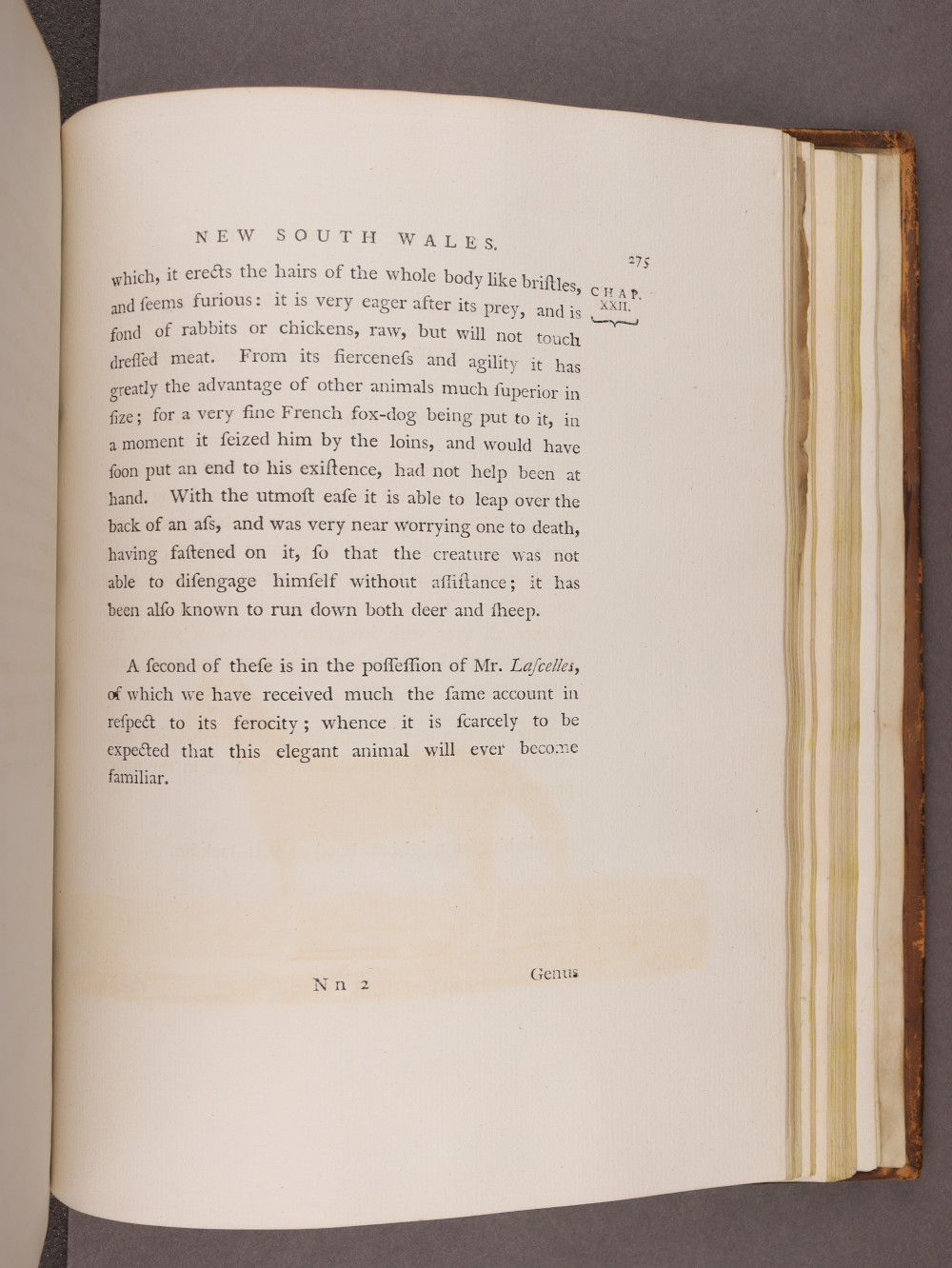 Page 275